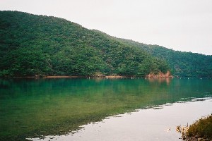 photo5.jpg