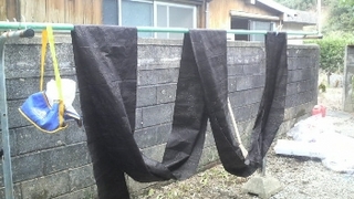 photo7.JPG
